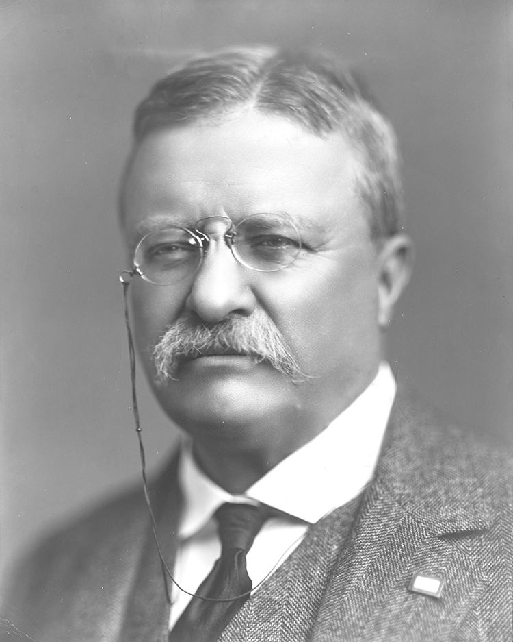 Teddy Roosevelt